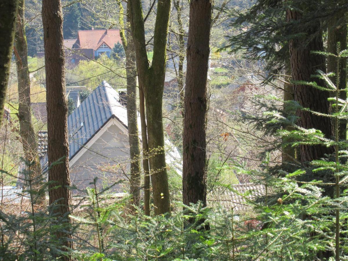 Le Clos D'Aure. Oberhaslach Exterior photo