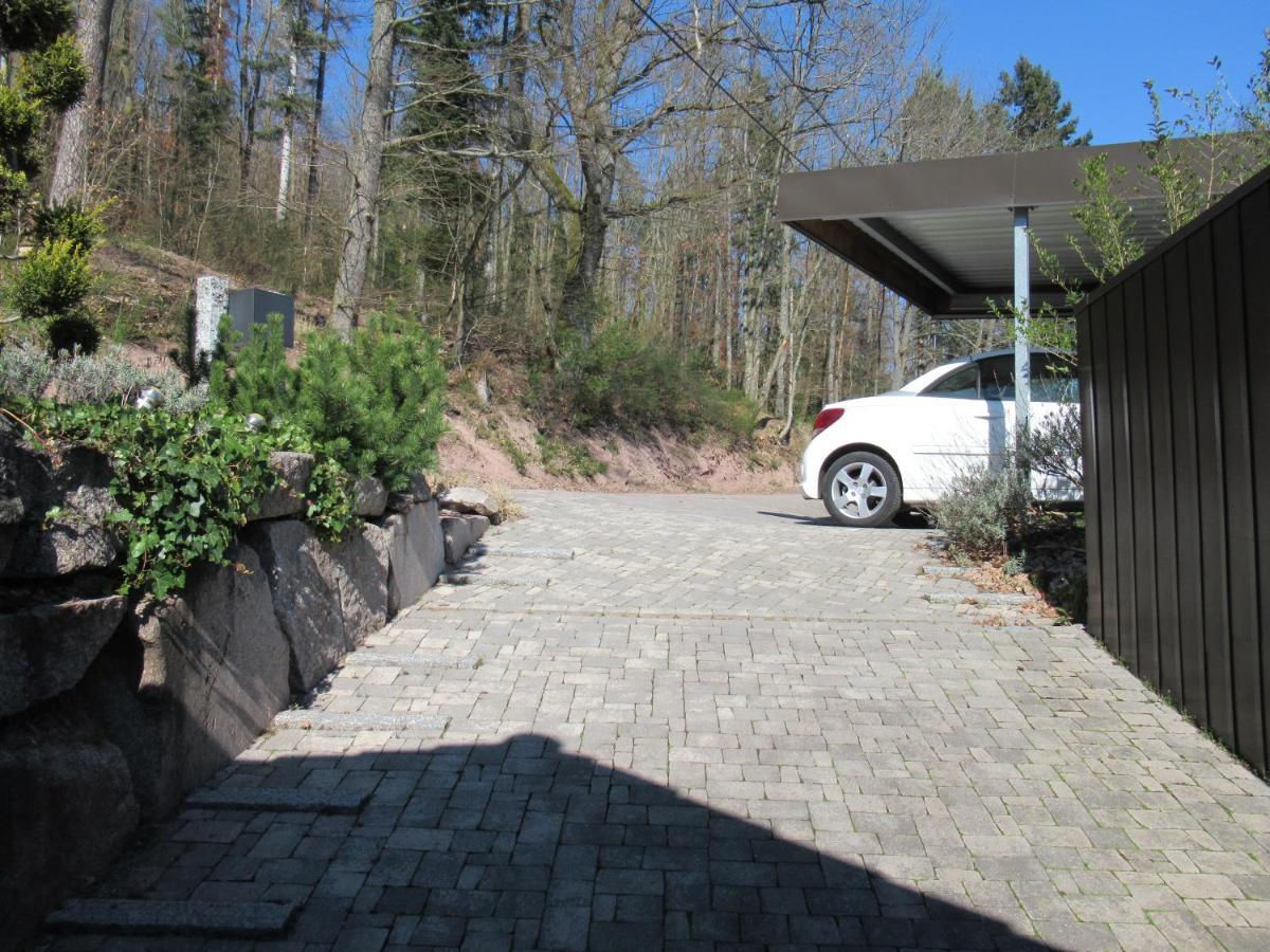 Le Clos D'Aure. Oberhaslach Exterior photo