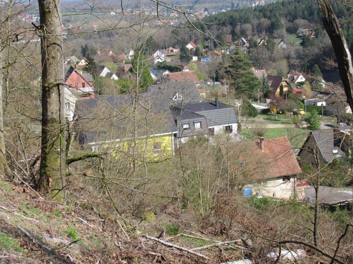 Le Clos D'Aure. Oberhaslach Exterior photo